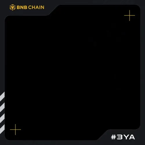 BNBChain3YA