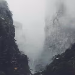 SGFRIMSS