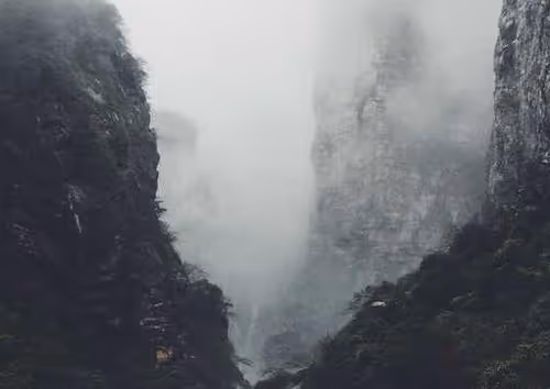 SGFRIMSS