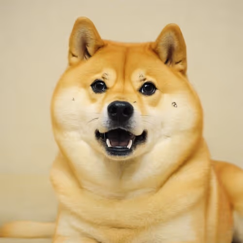 Doggy style