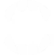 @mitz on Drakula.app