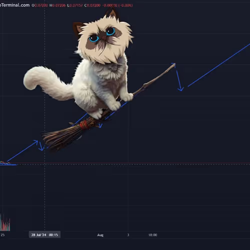 Mr. Half Blood Miggles