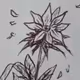 drawingNFT