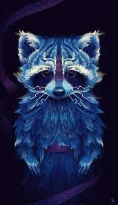 Raccoon