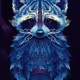 Raccoon