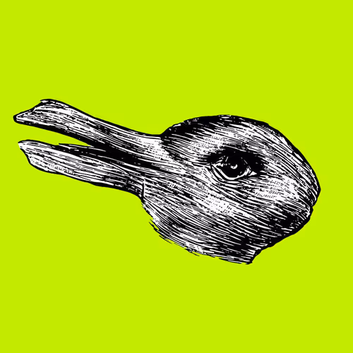 Ethscriptions Duck Rabbit