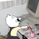 pipp DAO