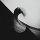 The wave