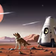 Doge Moon