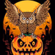 Halloween Owl Pumpkin Lantern/