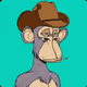 OnChain Ape