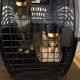 Cat Care