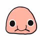 bloofostercoin