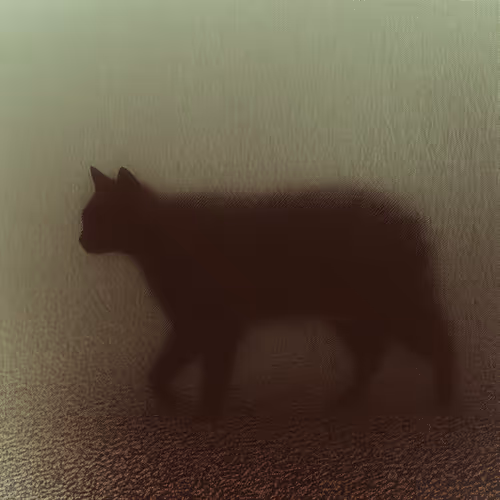 Silhouette