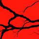 ZoRED