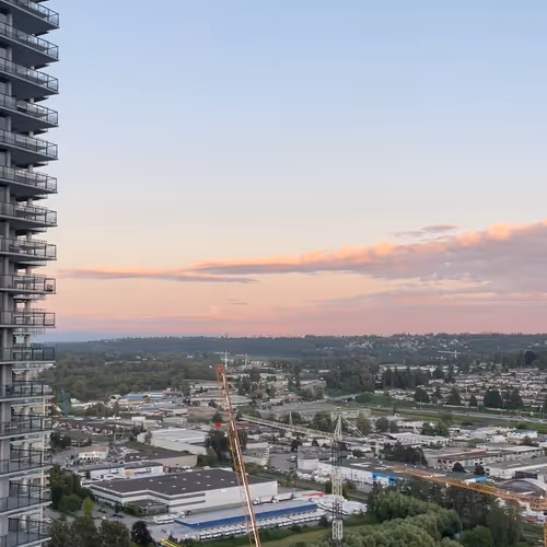 beef tastes like broccoli cheese sauce