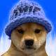 $WIF on BASE