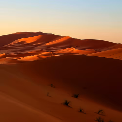 Waves of the Desert