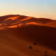 Waves of the Desert