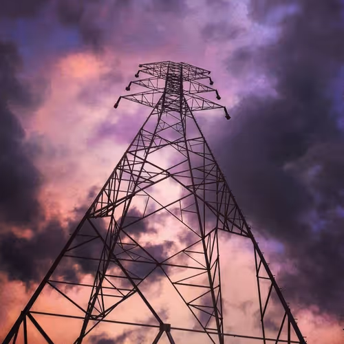 Tower Stands with Crypto