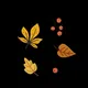autumn leaves spinning
