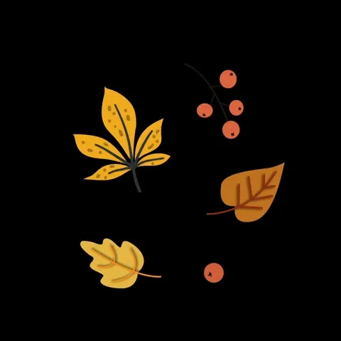 autumn leaves spinning