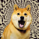 Doge's trip