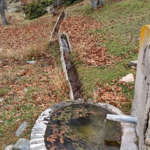 fountain