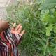 Touching grass