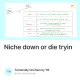 Niche down or die tryin