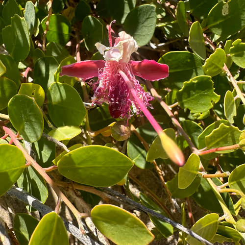 Transform Through Art