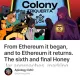 The Final Trial: When Colonies Converge