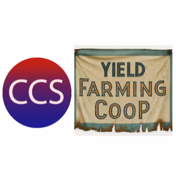 YFC CCS