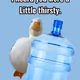 Thirsty