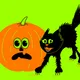 Jack-o'-lantern and cat