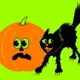 Jack-o'-lantern and cat