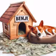 Basenji
