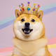 Doge Rainbow