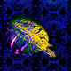 Turtle Essence