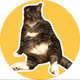 Big Back Cat