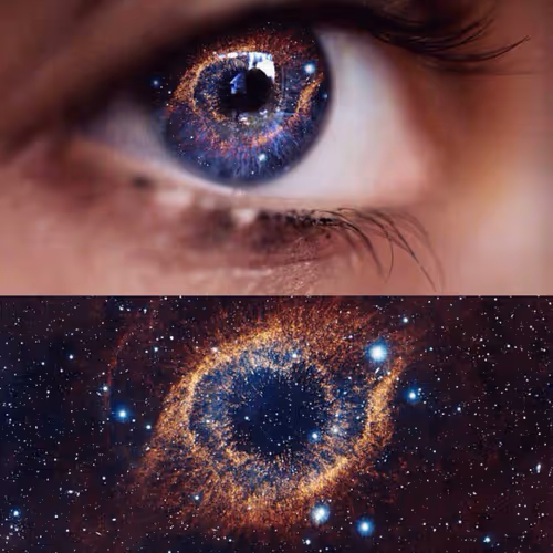 I am the universe.