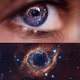 I am the universe.