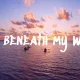 Wind Beneath My Wings *SONG