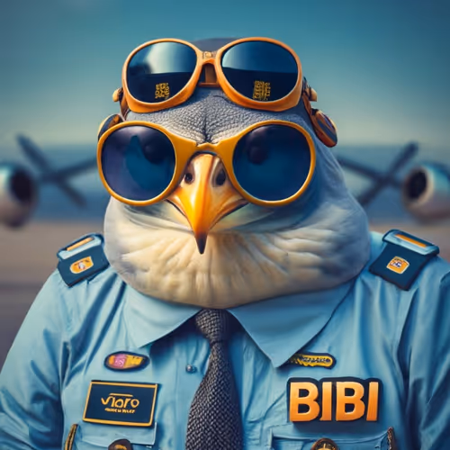 Bibi