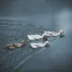 Gentle Parade