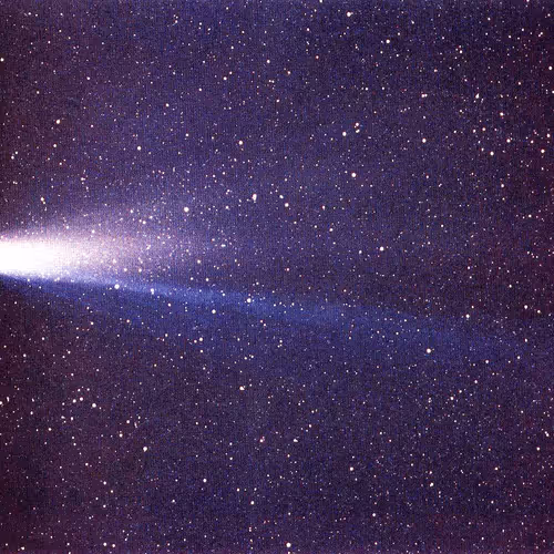 Halley's Comet