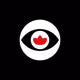 VISUAL VANGUARD