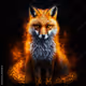 Magic Fox