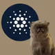 Mr. Miggles on Cardano