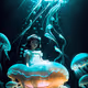 Princess Jellyfish